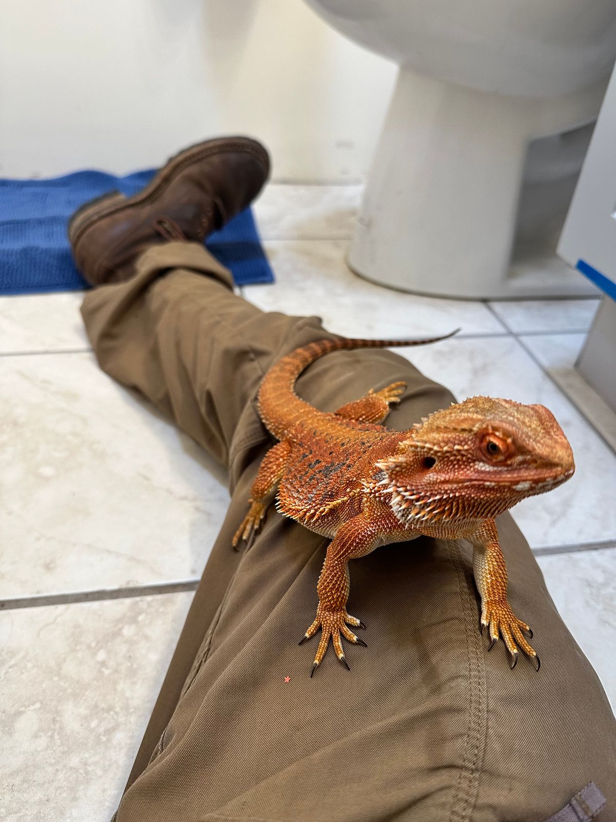 Photo by AndrewsBoots on February 7, 2026 of the White's Custom Model in Horween Cinnamon Waxed Flesh.