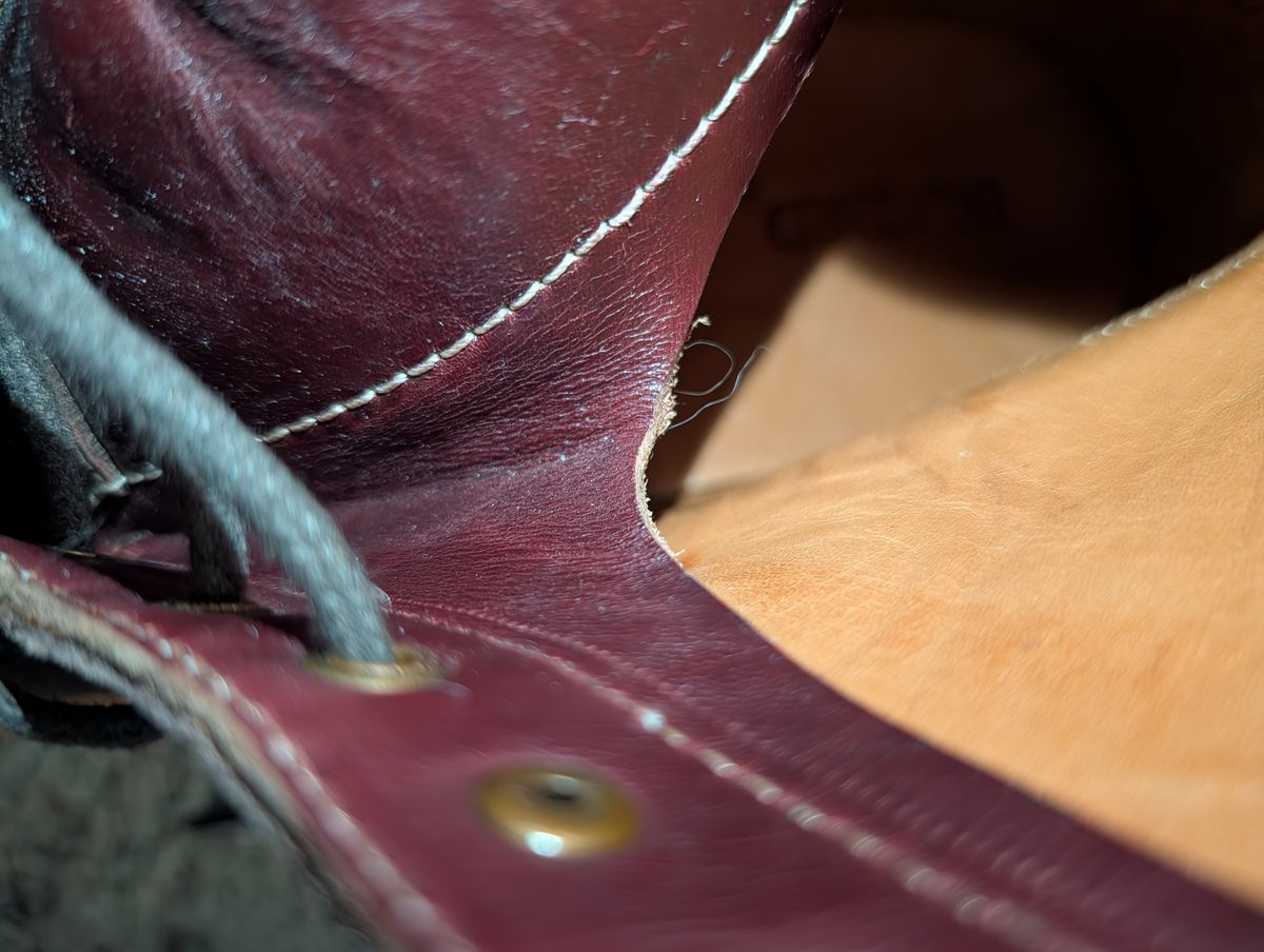 Photo by cowcrapper on March 17, 2026 of the Blkbrd Shoemaker Dixon-Z in Law Tanning Mahogany Big Horn Shrunken Bison.