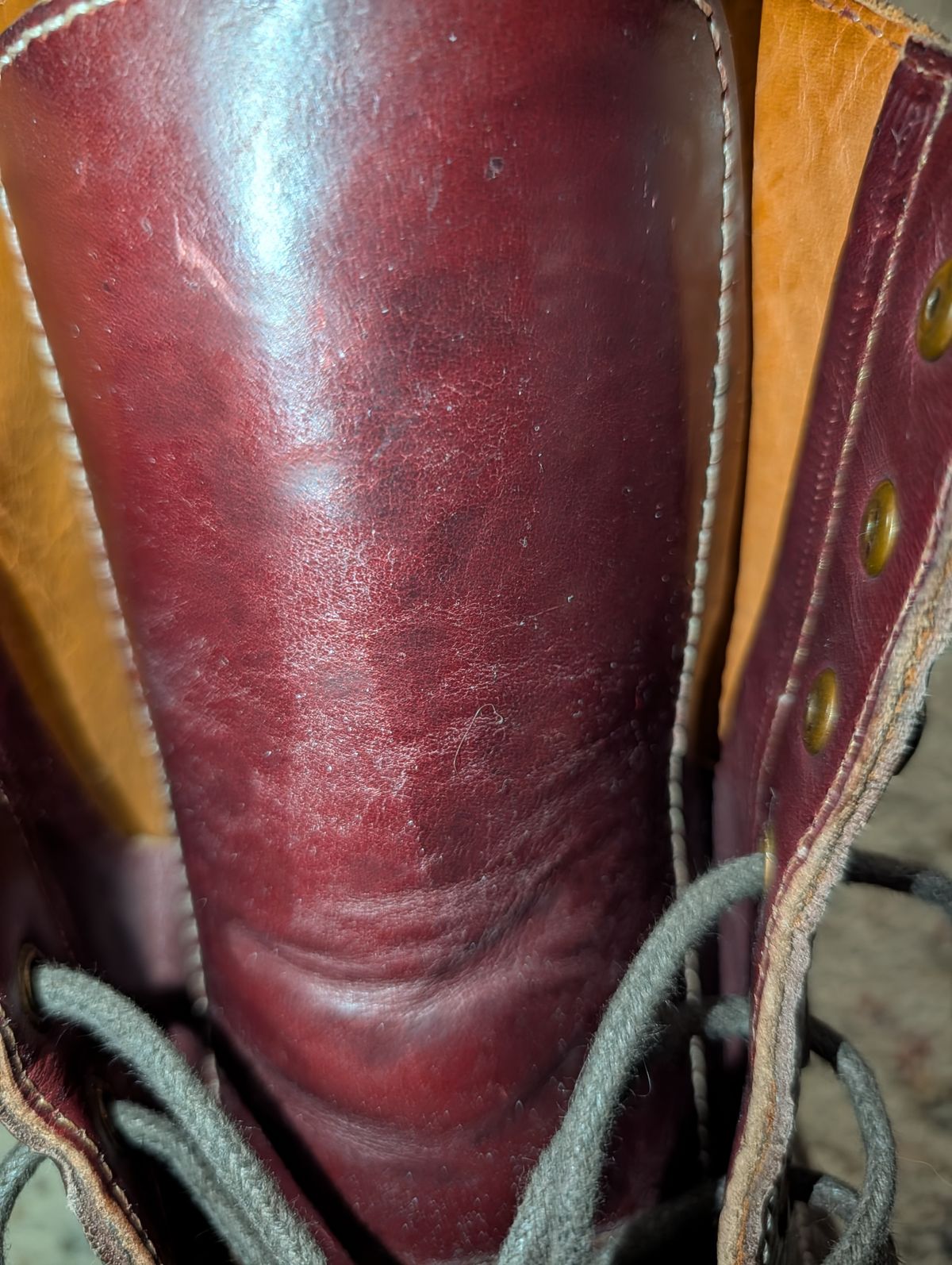 Photo by cowcrapper on March 17, 2026 of the Blkbrd Shoemaker Dixon-Z in Law Tanning Mahogany Big Horn Shrunken Bison.