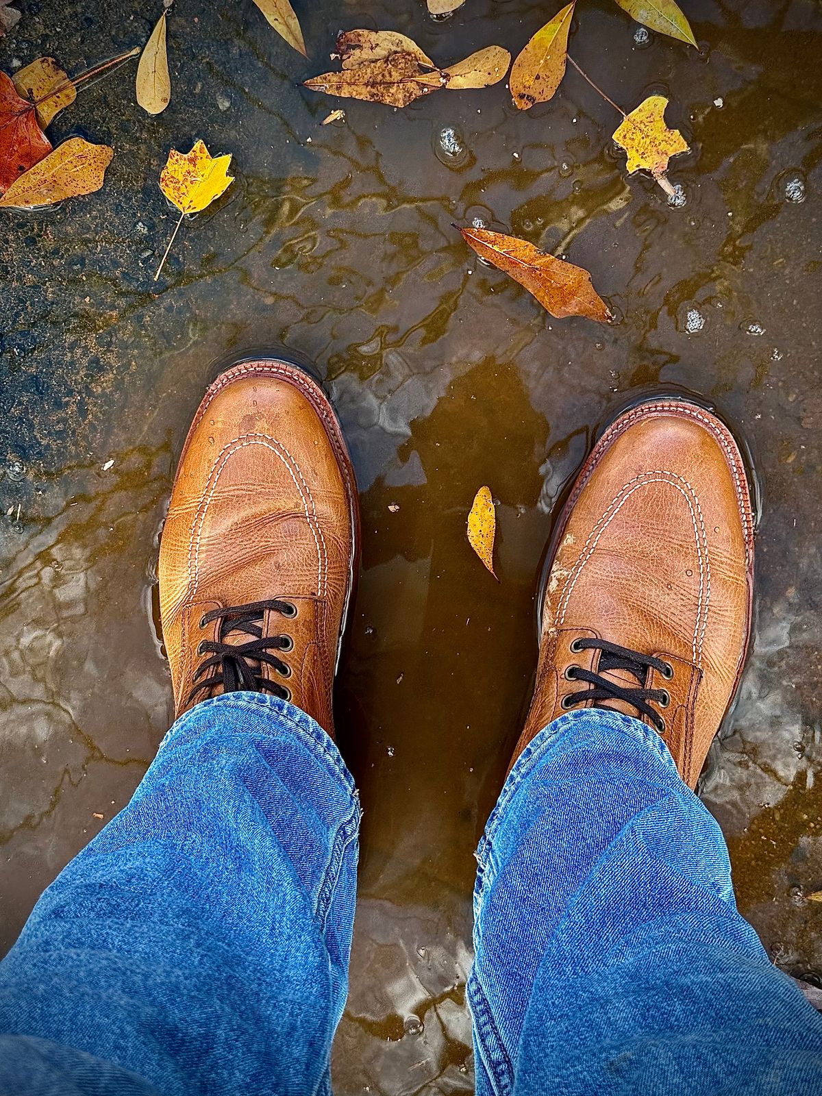 Photo by MaticEsq on November 22, 2025 of the Parkhurst The Niagara in Seidel Natural Veg Retan.