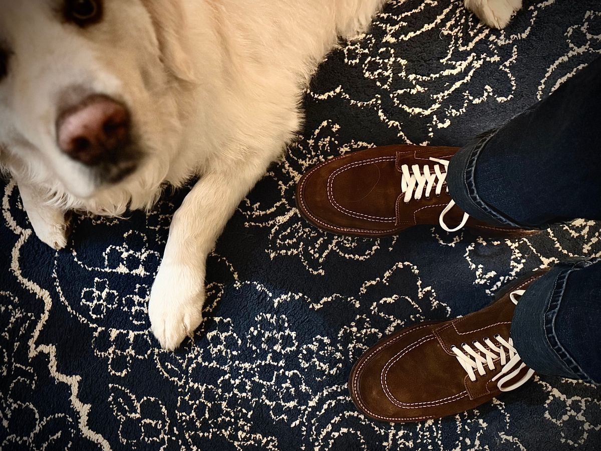 Photo by MaticEsq on December 23, 2025 of the J. Crew X Alden 40553H Indy Boots in C.F. Stead Snuff Repello Calf Suede.