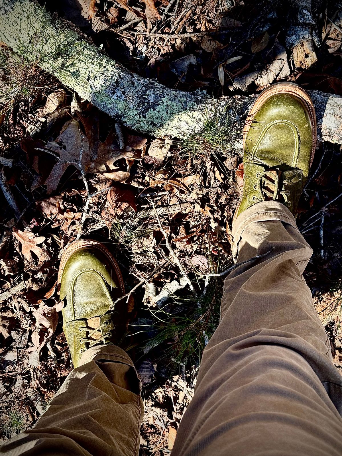 Photo by MaticEsq on February 22, 2026 of the Grant Stone Brass Boot in Badalassi Carlo Olive Green Minerva.