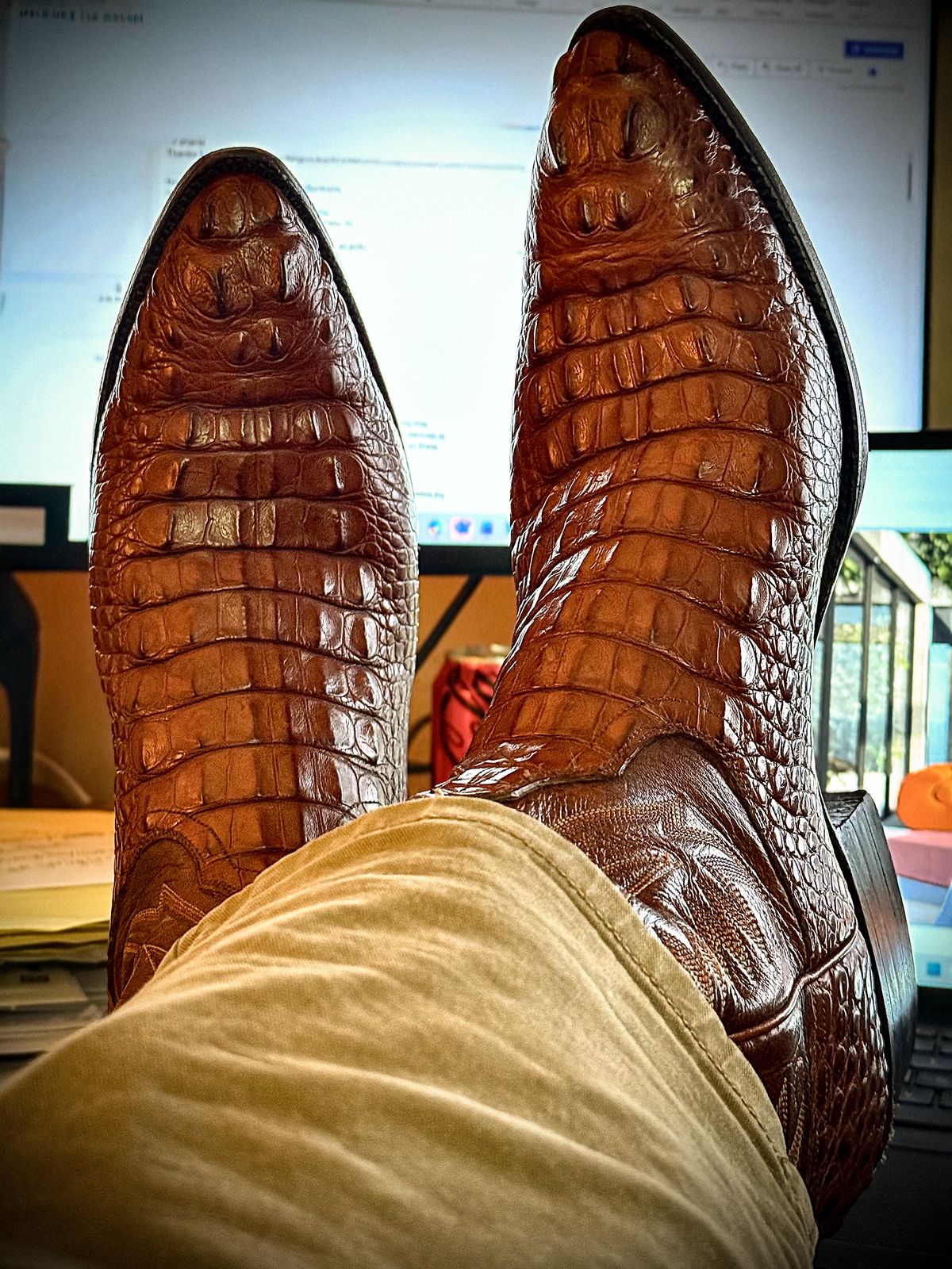 Photo by MaticEsq on April 28, 2026 of the Ammons Custom Model in Peanut Brittle Head Cut Hornback American Alligator.