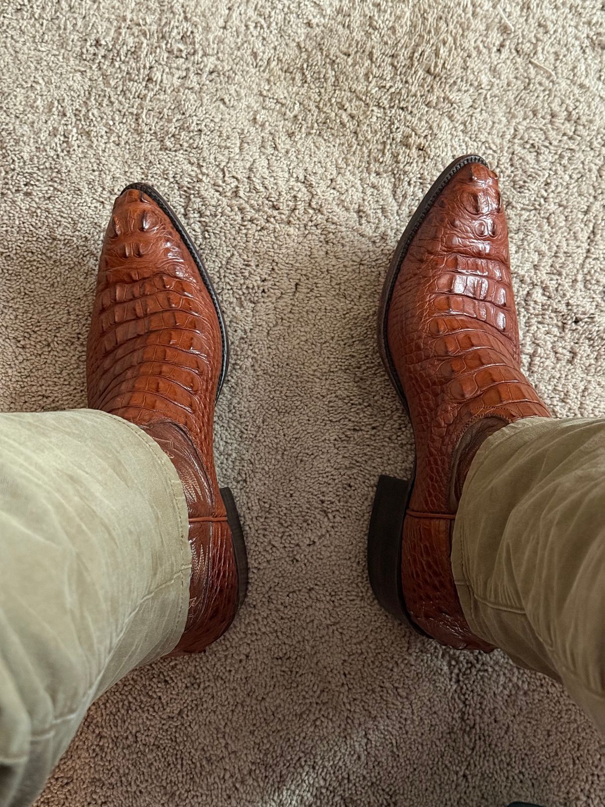 Photo by MaticEsq on April 28, 2026 of the Ammons Custom Model in Peanut Brittle Head Cut Hornback American Alligator.