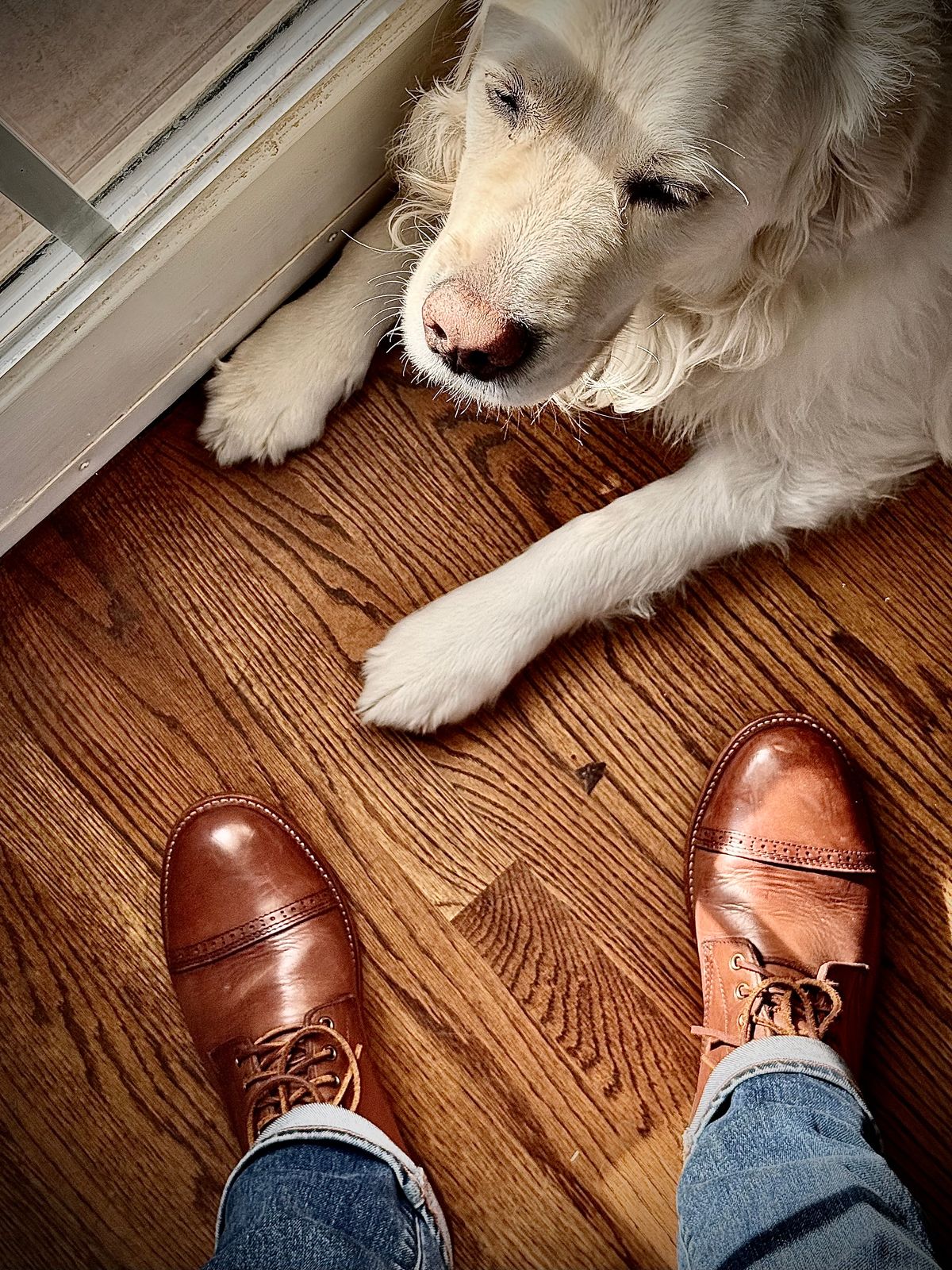 Photo by MaticEsq on January 21, 2026 of the Oak Street Bootmakers Trench Boot in Horween Natural Chromexcel.