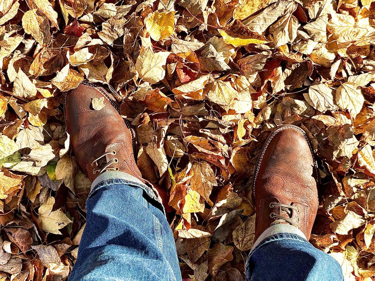 Photo by MaticEsq on November 13, 2025 of the Parkhurst The Allen in C.F. Stead Inferno Rambler.