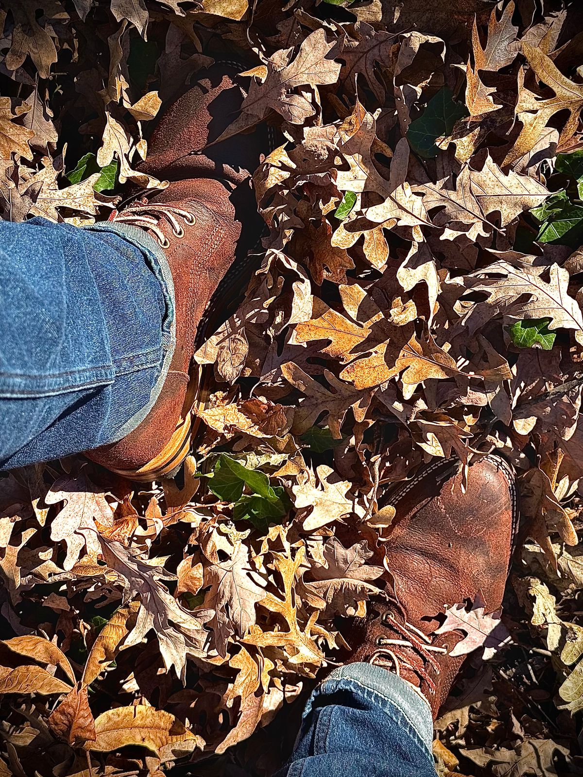 Photo by MaticEsq on November 28, 2025 of the Parkhurst The Allen in C.F. Stead Inferno Rambler.