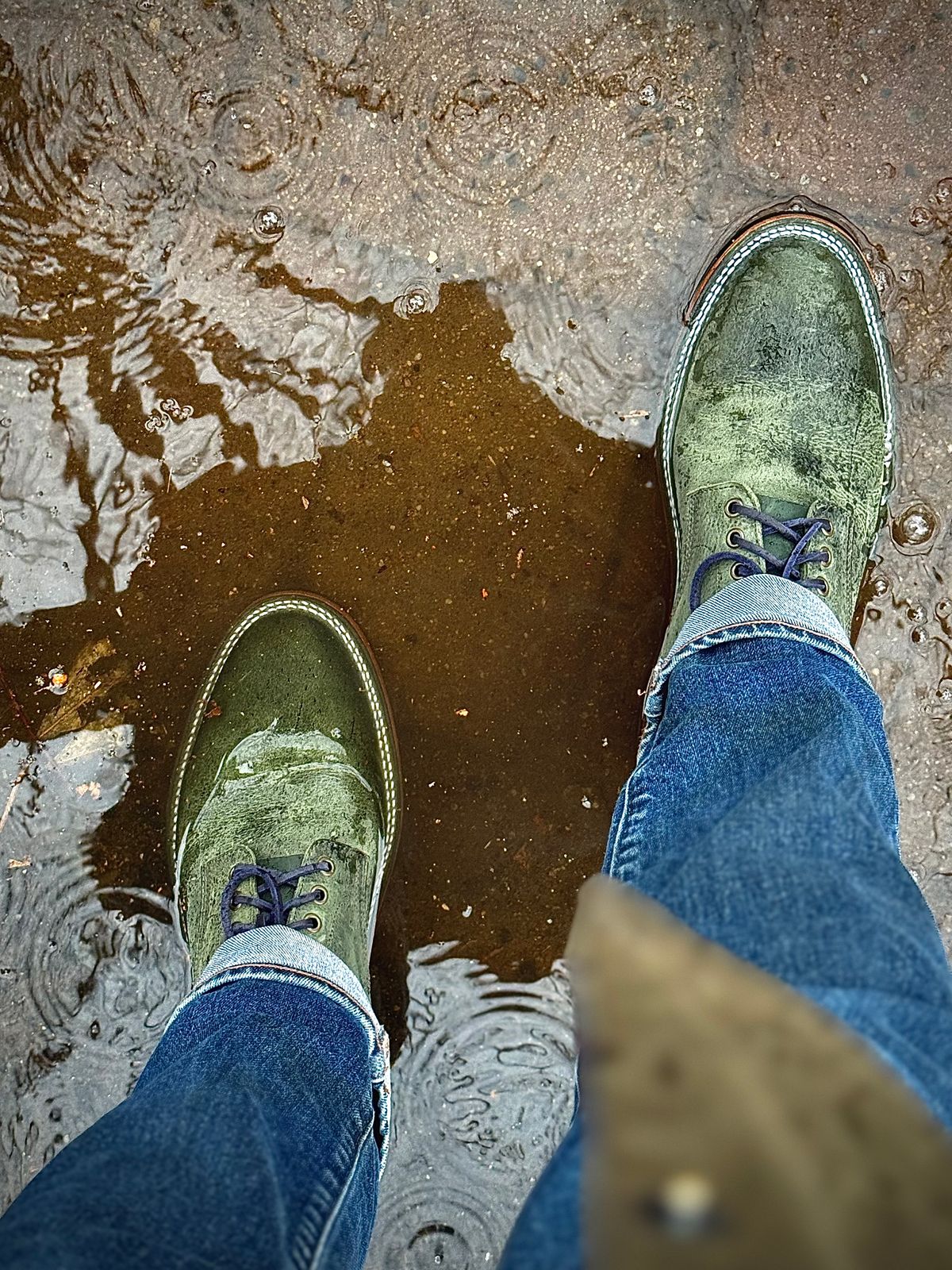 Photo by MaticEsq on December 18, 2025 of the Parkhurst The Allen in C.F. Stead Spruce Kudu.