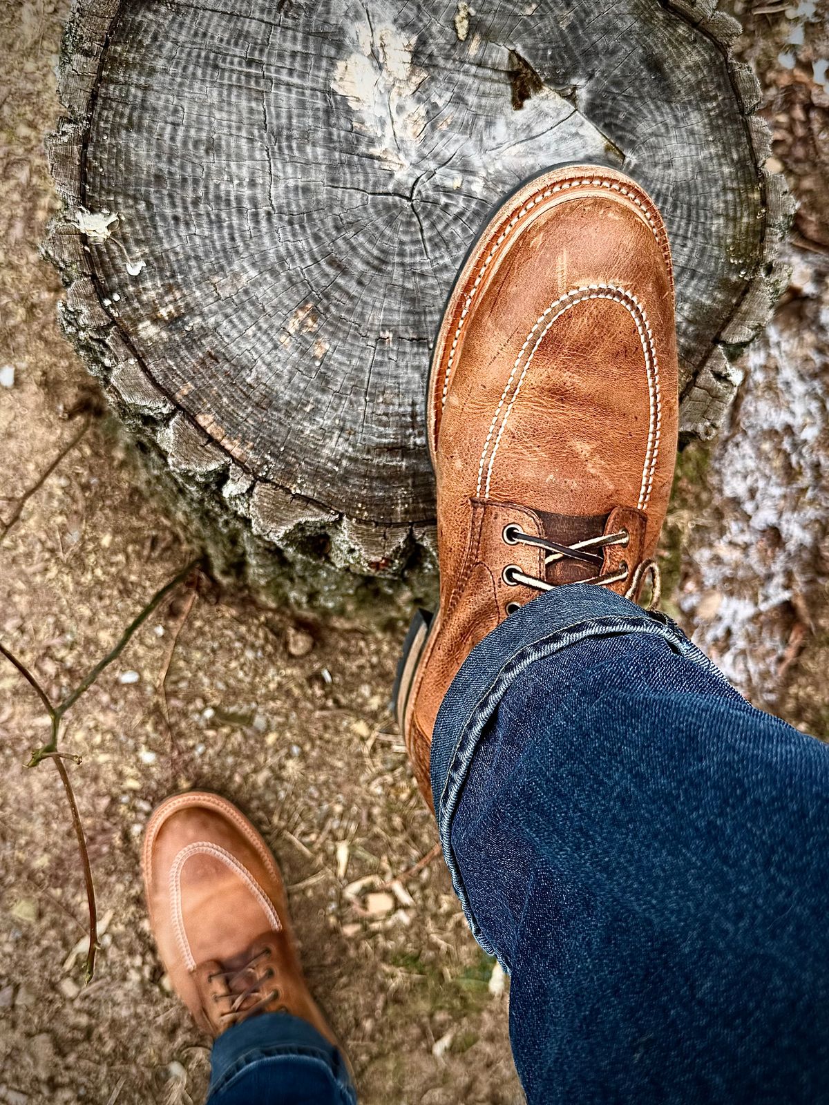 Photo by MaticEsq on January 3, 2026 of the Parkhurst The Niagara in C.F. Stead Anise Kudu.