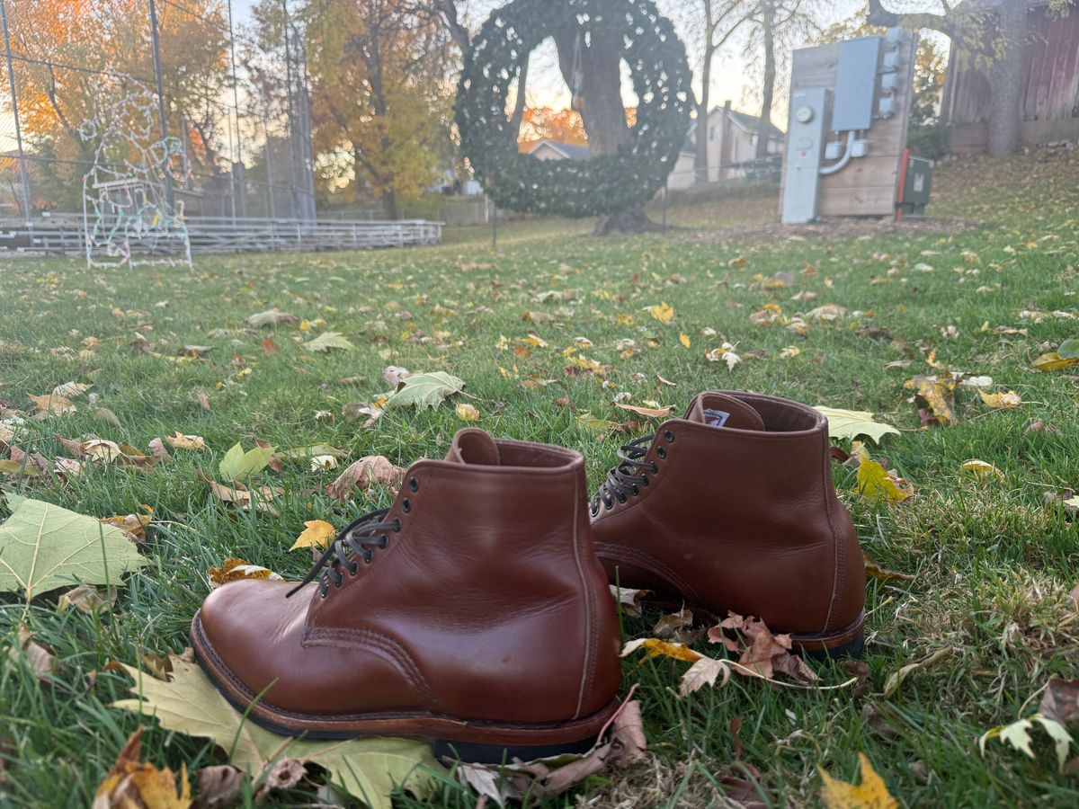 Photo by angeloa0072 on November 5, 2025 of the Red Wing Williston 9435 in S.B. Foot Teak Featherstone.