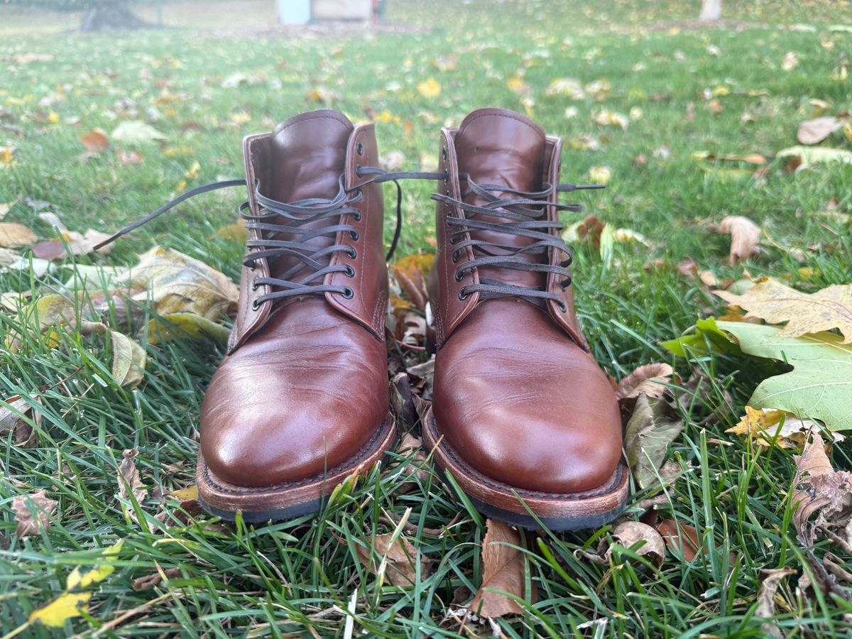 Photo by angeloa0072 on November 5, 2025 of the Red Wing Williston 9435 in S.B. Foot Teak Featherstone.