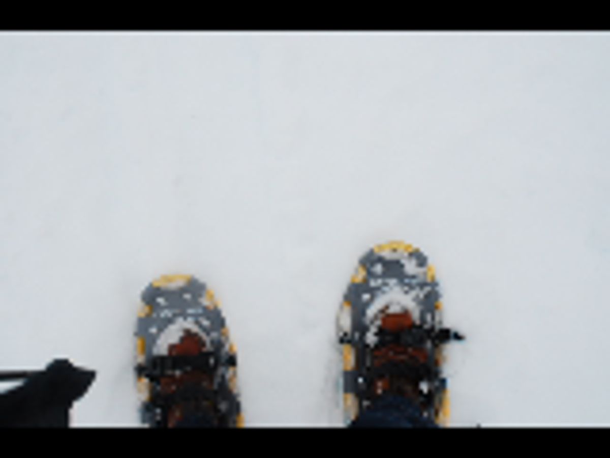 Photo by mossy on February 4, 2018 of the Thorogood American Heritage 8" Moc Toe in Tobacco Gladiator Oil-Tanned.