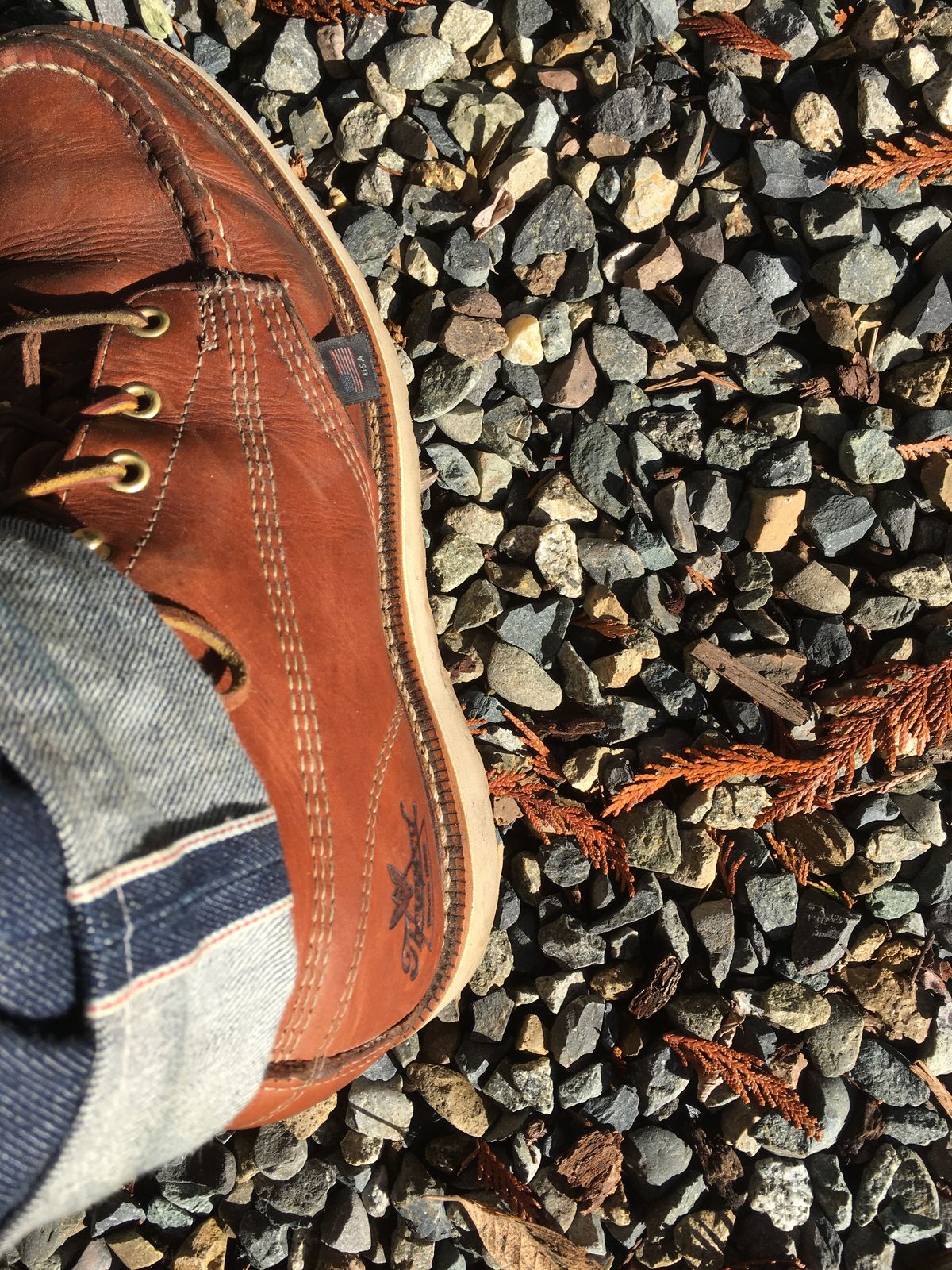 Photo by mossy on October 27, 2018 of the Thorogood American Heritage 8" Moc Toe in Tobacco Gladiator Oil-Tanned.