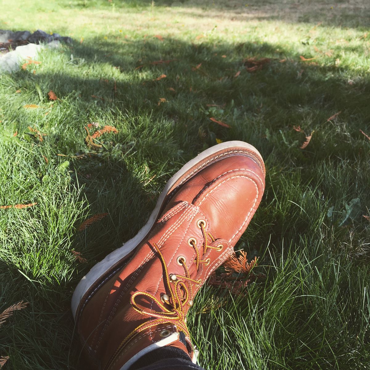 Photo by mossy on October 11, 2018 of the Thorogood American Heritage 8" Moc Toe in Tobacco Gladiator Oil-Tanned.