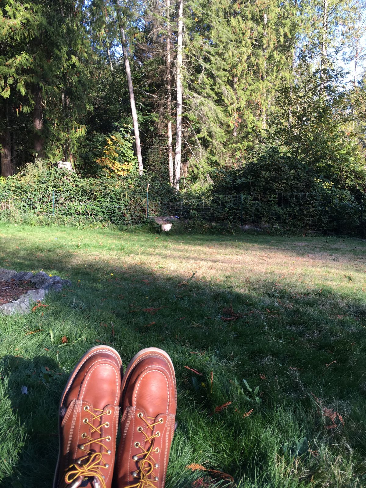 Photo by mossy on October 11, 2018 of the Thorogood American Heritage 8" Moc Toe in Tobacco Gladiator Oil-Tanned.