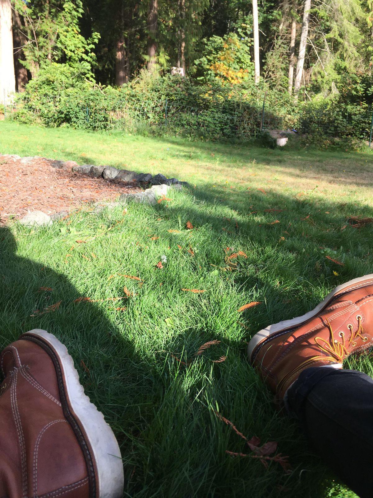 Photo by mossy on October 11, 2018 of the Thorogood American Heritage 8" Moc Toe in Tobacco Gladiator Oil-Tanned.