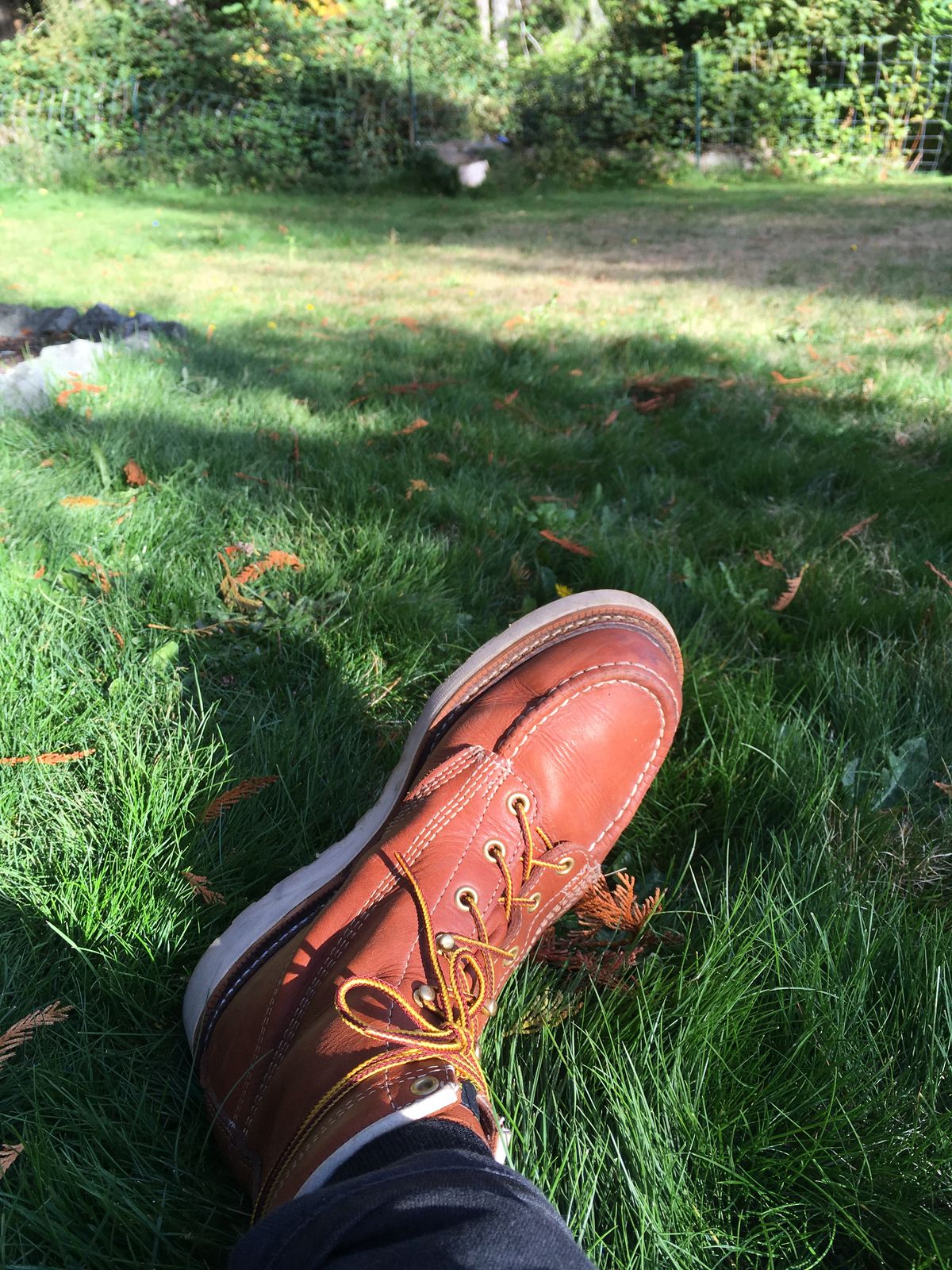 Photo by mossy on October 11, 2018 of the Thorogood American Heritage 8" Moc Toe in Tobacco Gladiator Oil-Tanned.