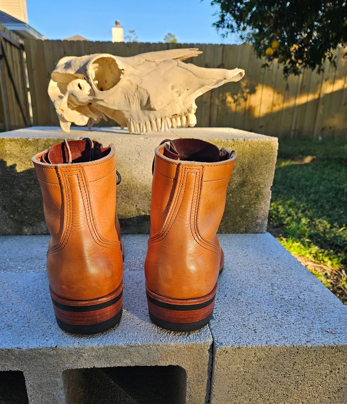 Photo by 83cane on November 3, 2025 of the Nicks DomePro in Horween Light Natural Dublin.