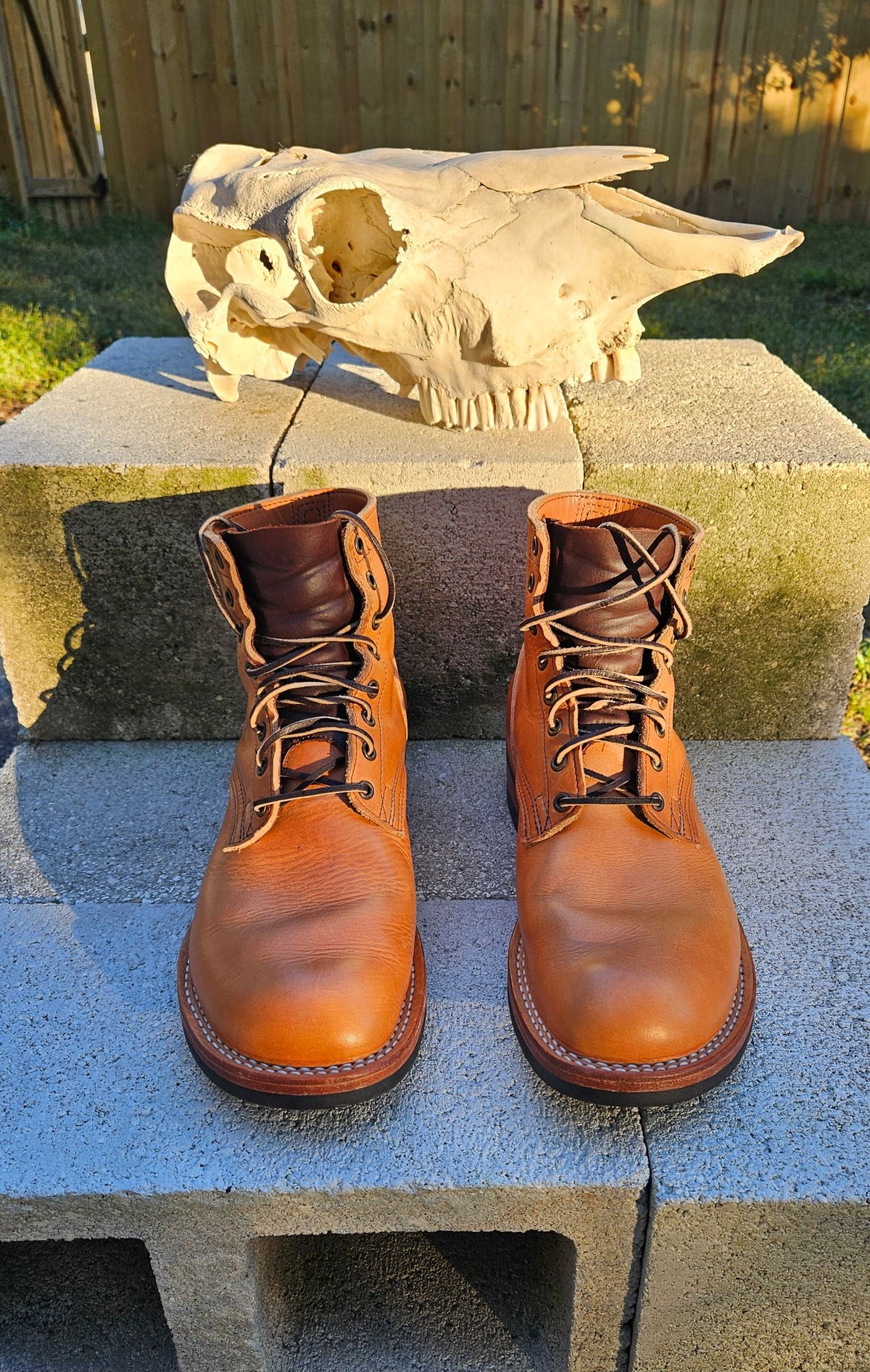 Photo by 83cane on November 3, 2025 of the Nicks DomePro in Horween Light Natural Dublin.