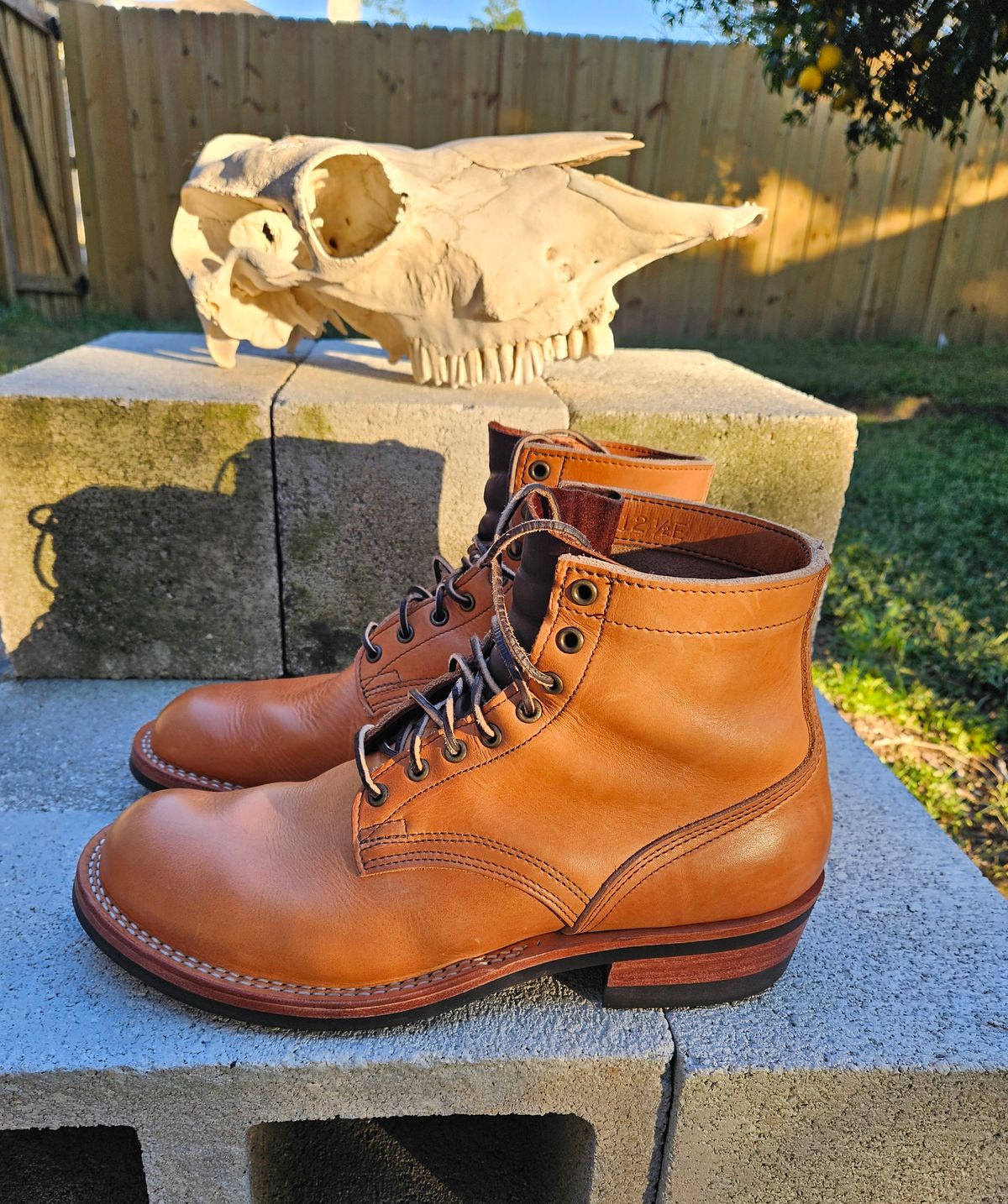 Photo by 83cane on November 3, 2025 of the Nicks DomePro in Horween Light Natural Dublin.