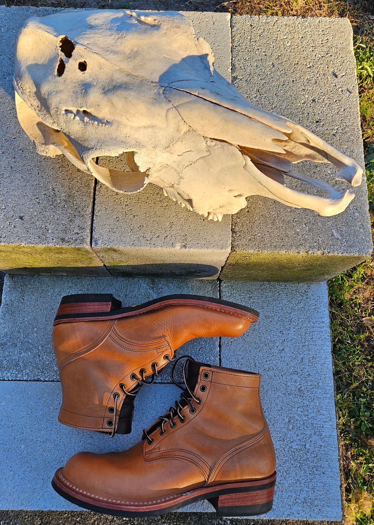 Photo by 83cane on November 3, 2025 of the Nicks DomePro in Horween Light Natural Dublin.