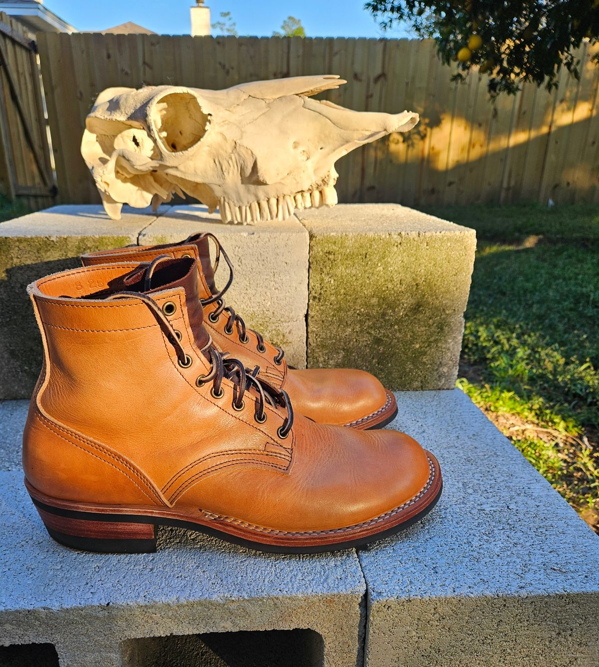 Photo by 83cane on November 3, 2025 of the Nicks DomePro in Horween Light Natural Dublin.