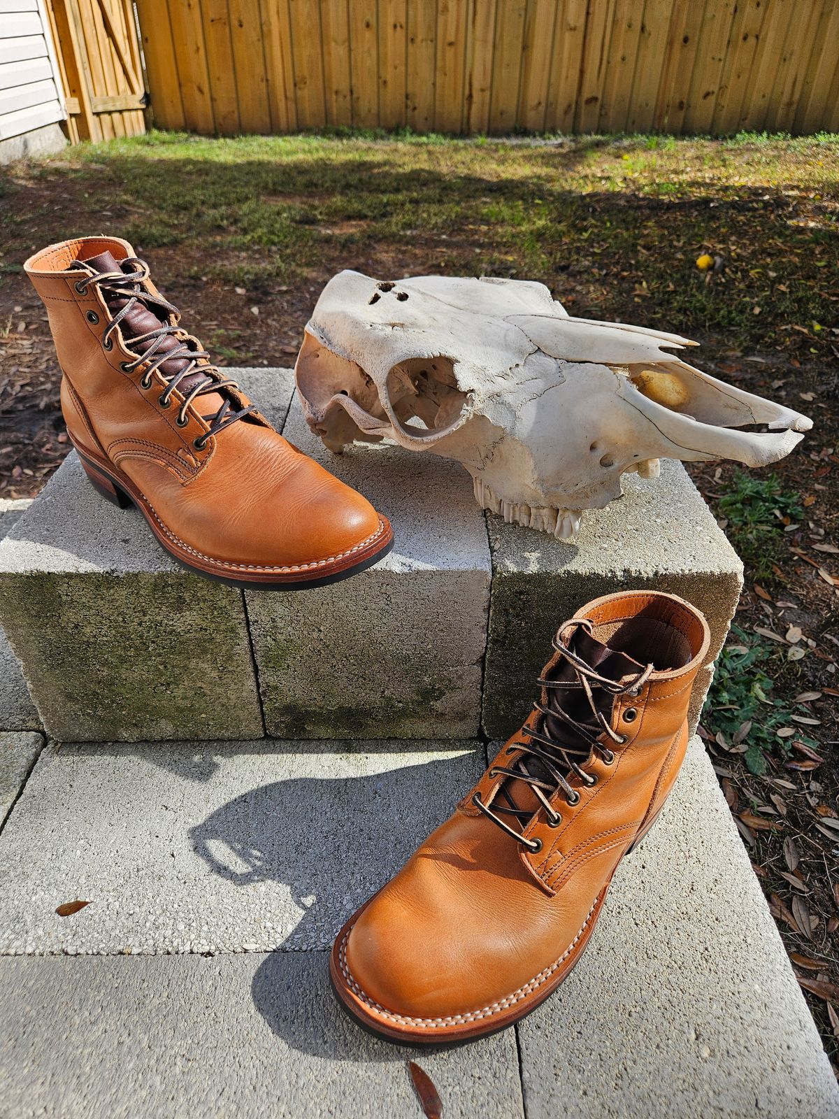 Photo by 83cane on December 3, 2025 of the Nicks DomePro in Horween Light Natural Dublin.