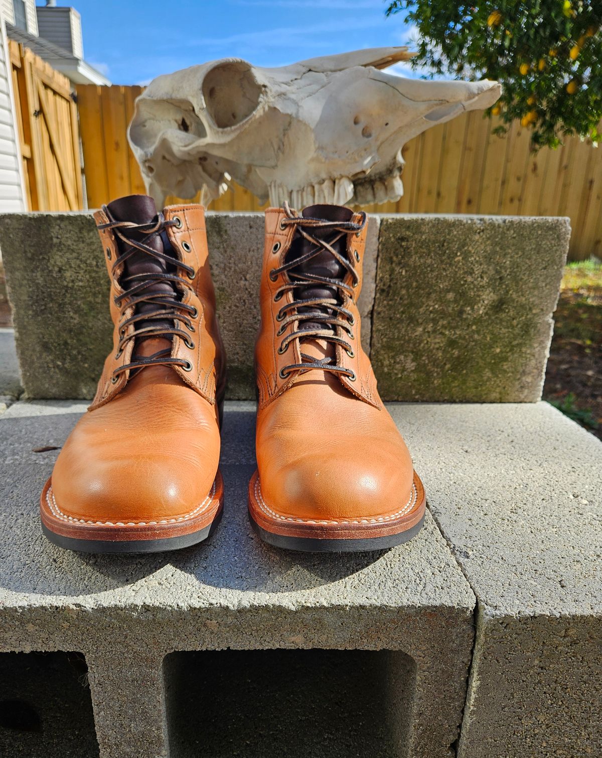Photo by 83cane on December 3, 2025 of the Nicks DomePro in Horween Light Natural Dublin.