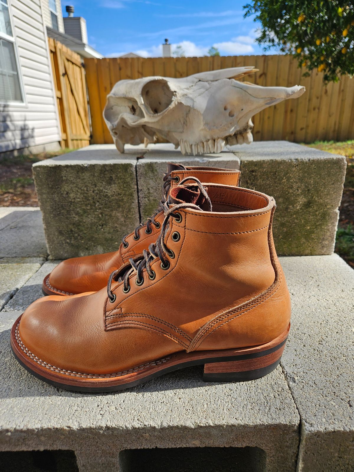 Photo by 83cane on December 3, 2025 of the Nicks DomePro in Horween Light Natural Dublin.