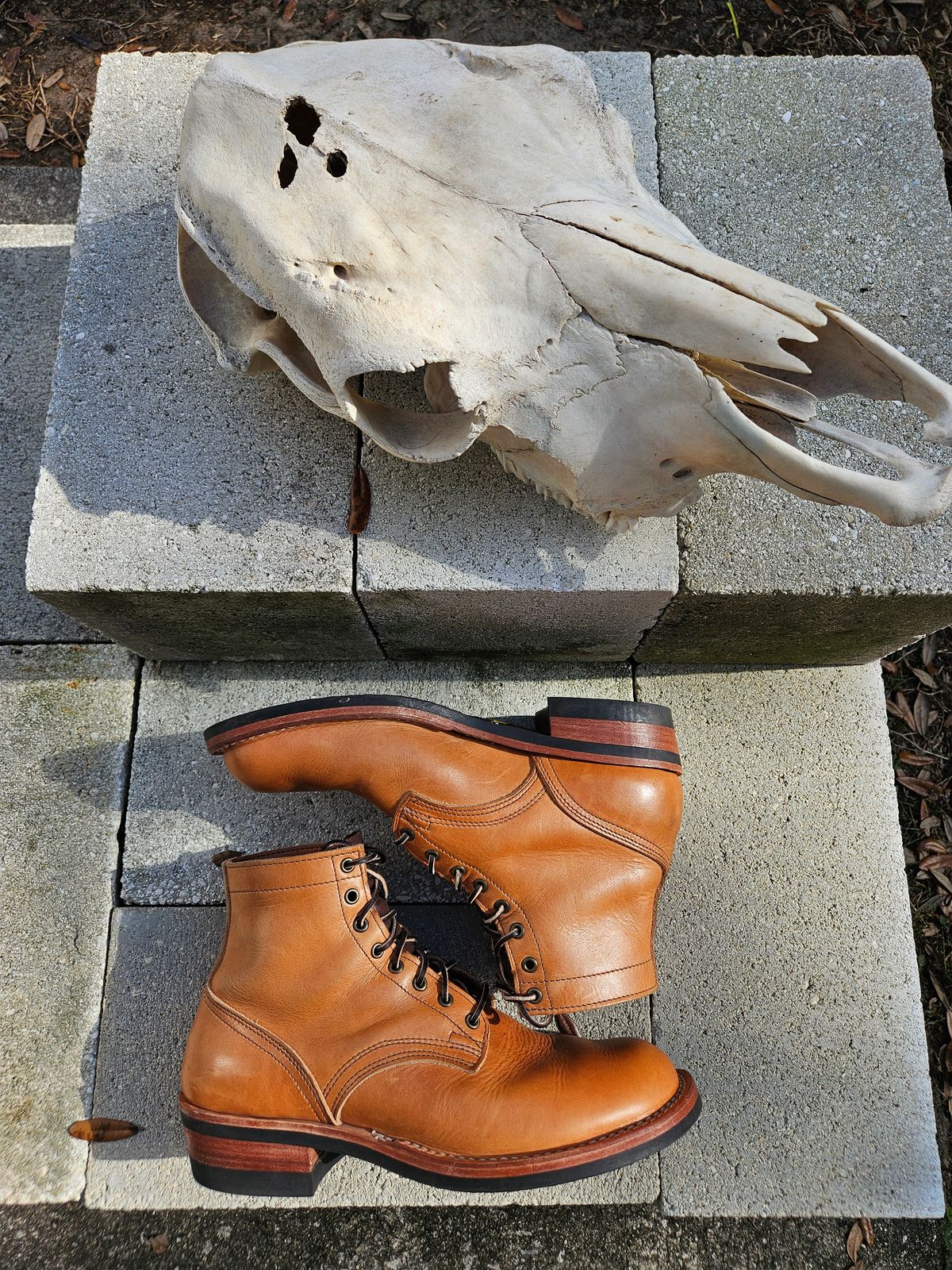 Photo by 83cane on December 3, 2025 of the Nicks DomePro in Horween Light Natural Dublin.