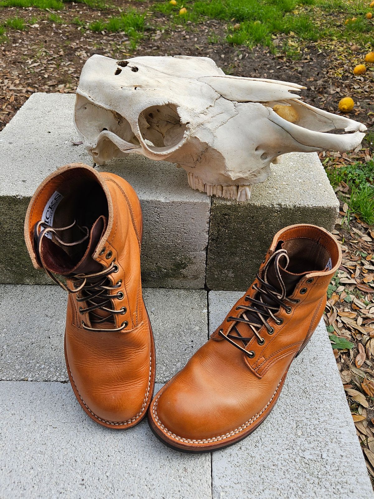 Photo by 83cane on January 2, 2026 of the Nicks DomePro in Horween Light Natural Dublin.