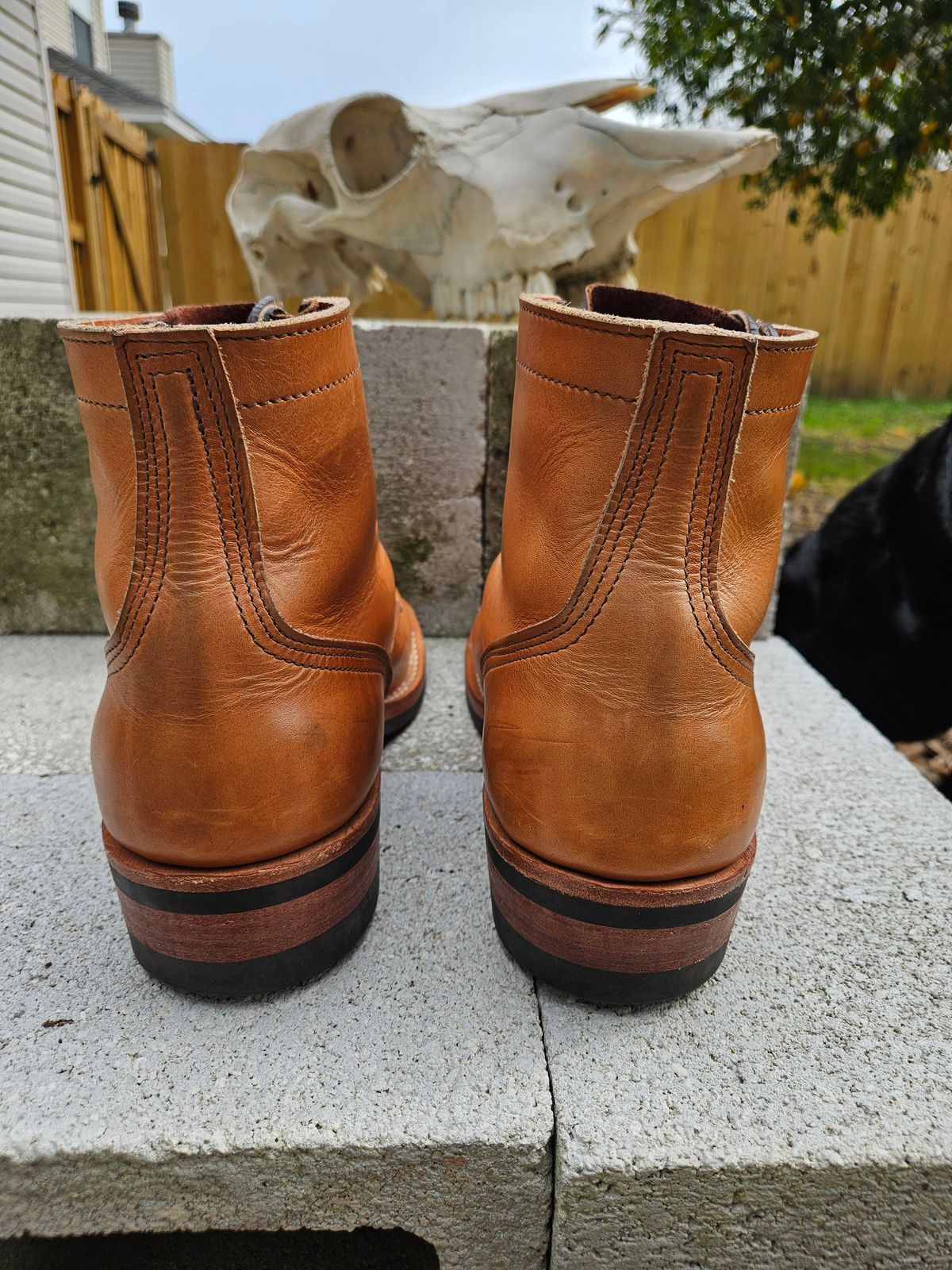 Photo by 83cane on January 2, 2026 of the Nicks DomePro in Horween Light Natural Dublin.