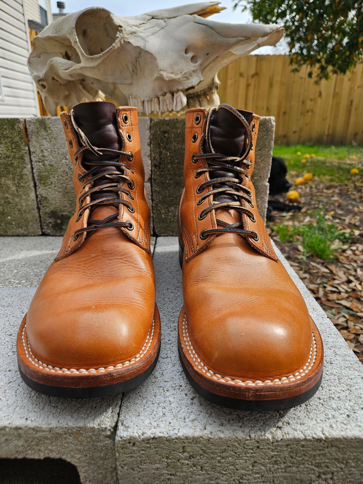 Photo by 83cane on January 2, 2026 of the Nicks DomePro in Horween Light Natural Dublin.