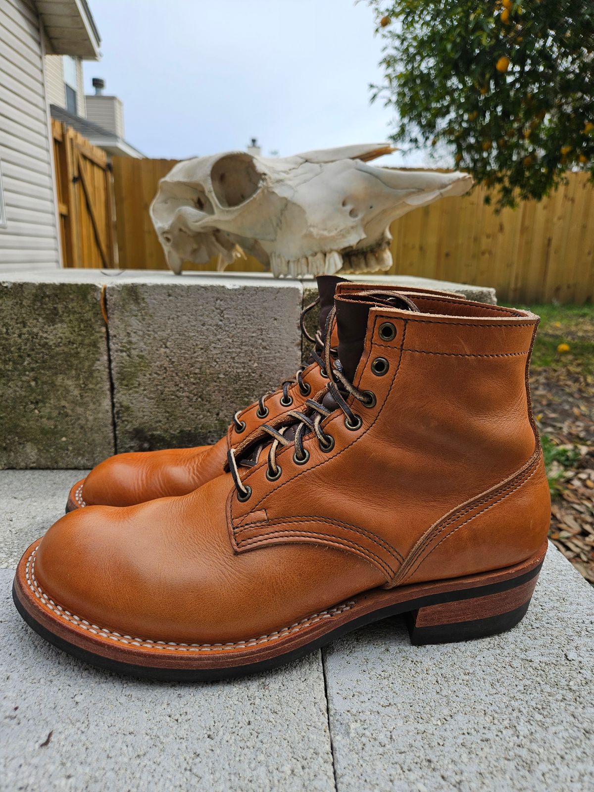 Photo by 83cane on January 2, 2026 of the Nicks DomePro in Horween Light Natural Dublin.