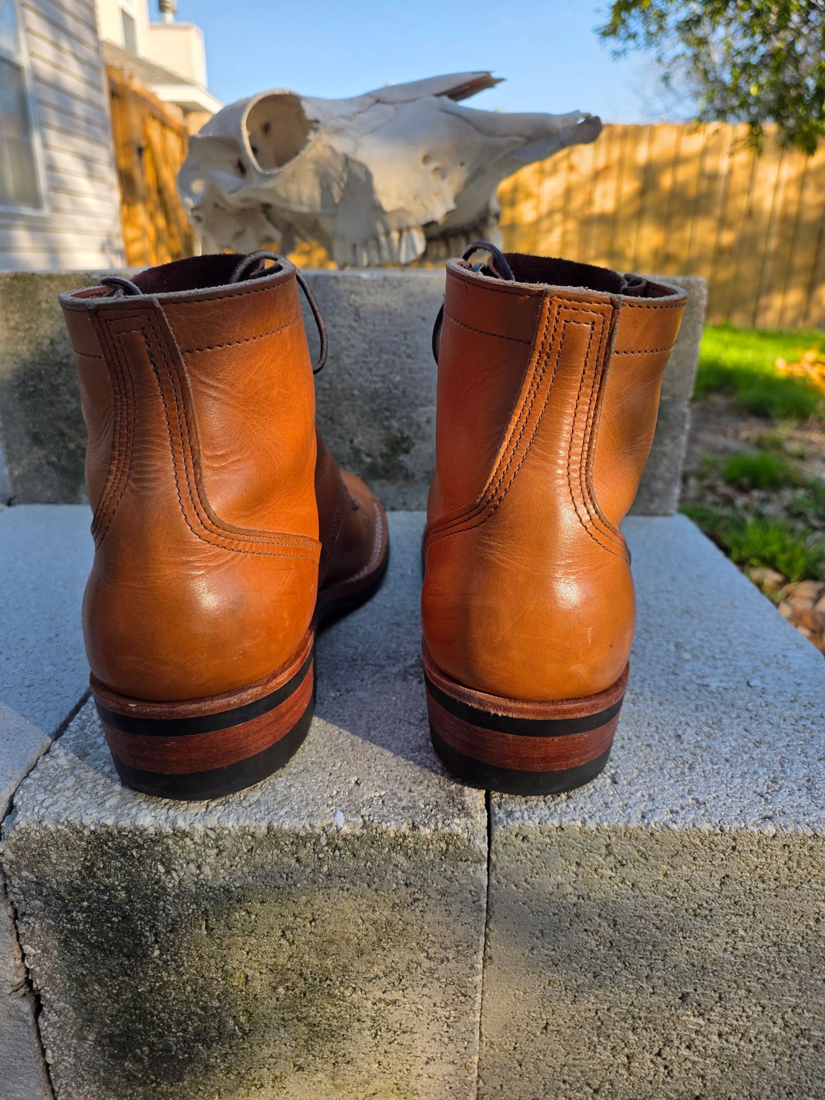 Photo by 83cane on February 3, 2026 of the Nicks DomePro in Horween Light Natural Dublin.
