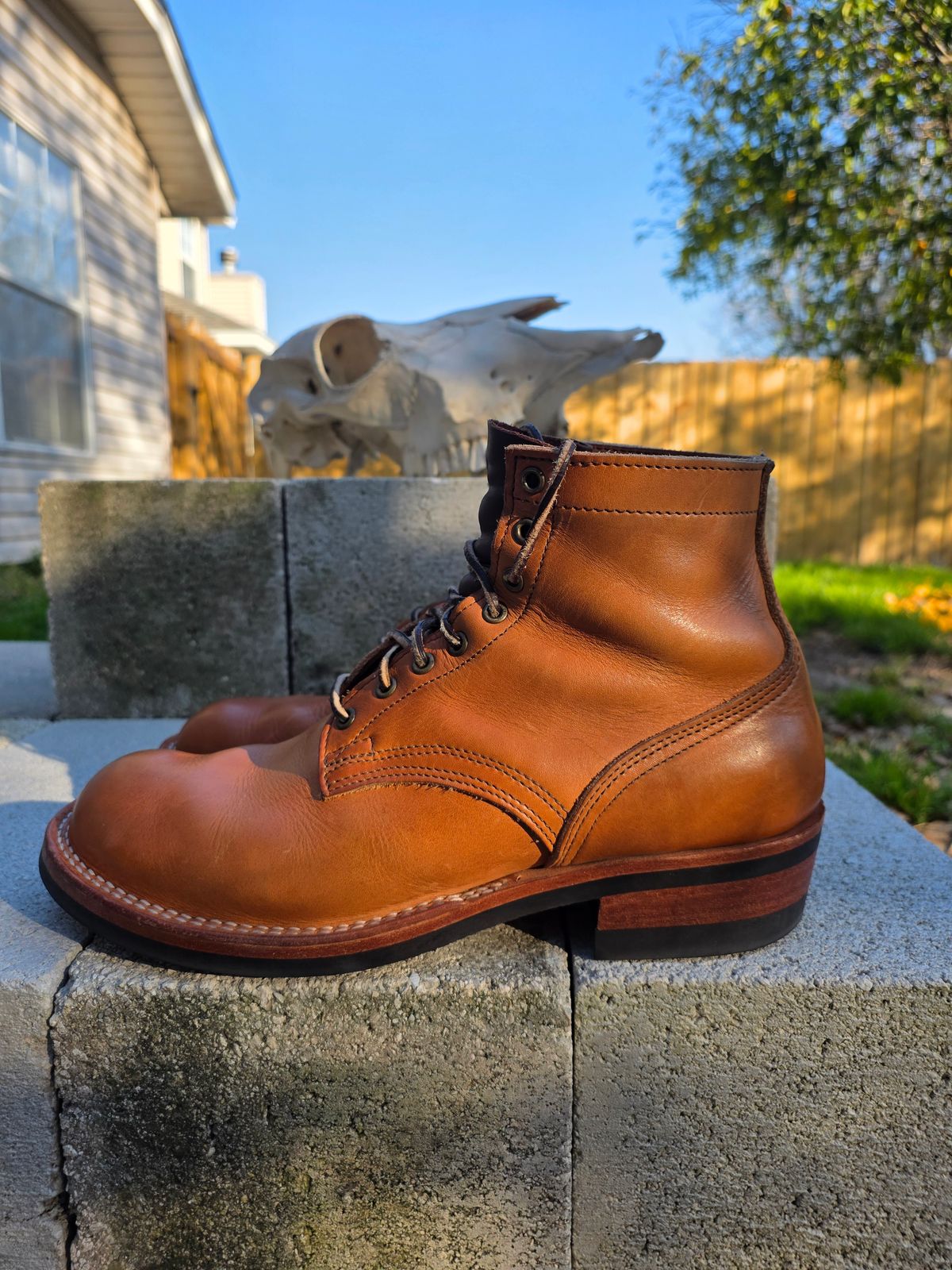 Photo by 83cane on February 3, 2026 of the Nicks DomePro in Horween Light Natural Dublin.