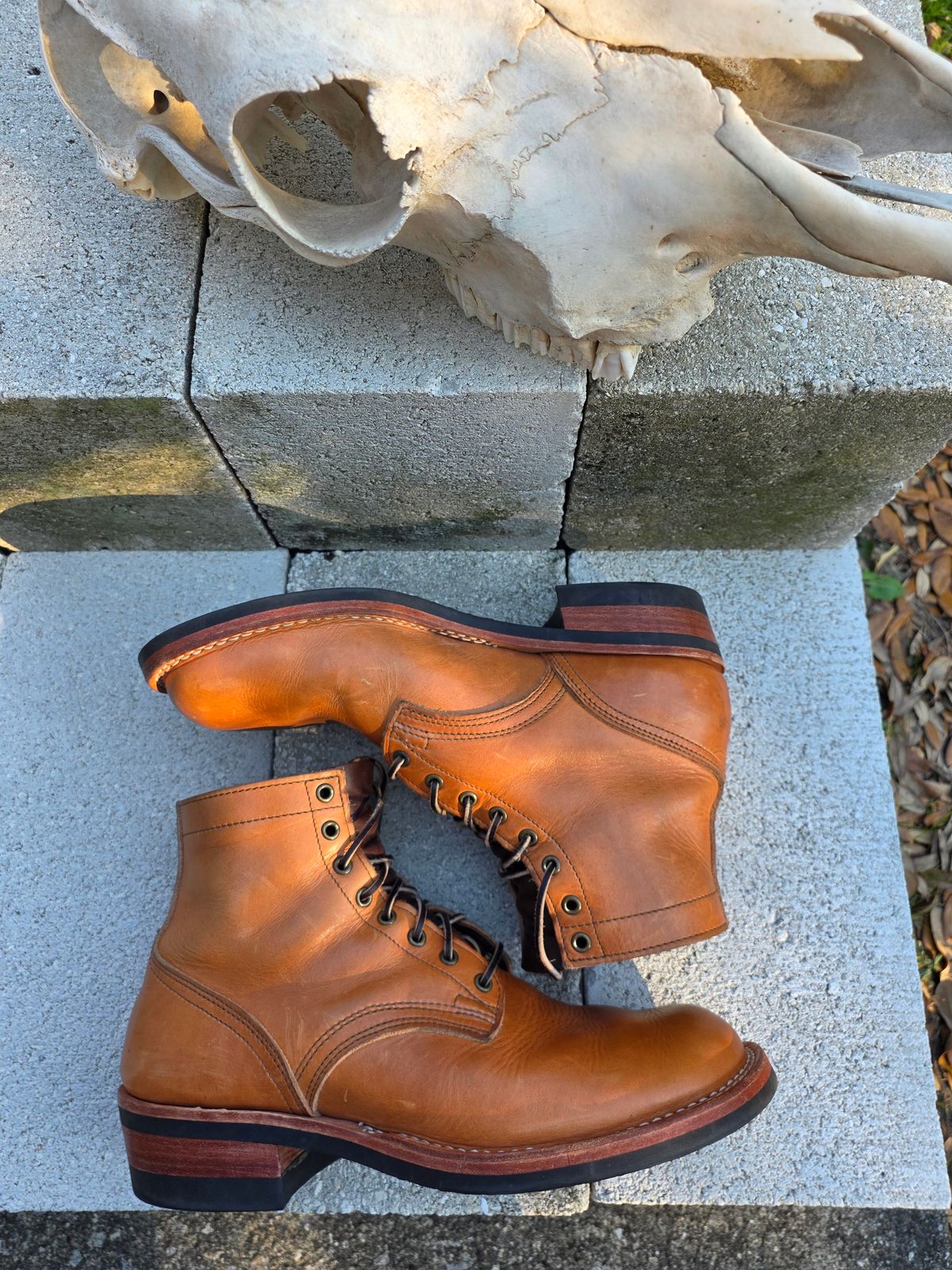 Photo by 83cane on February 3, 2026 of the Nicks DomePro in Horween Light Natural Dublin.