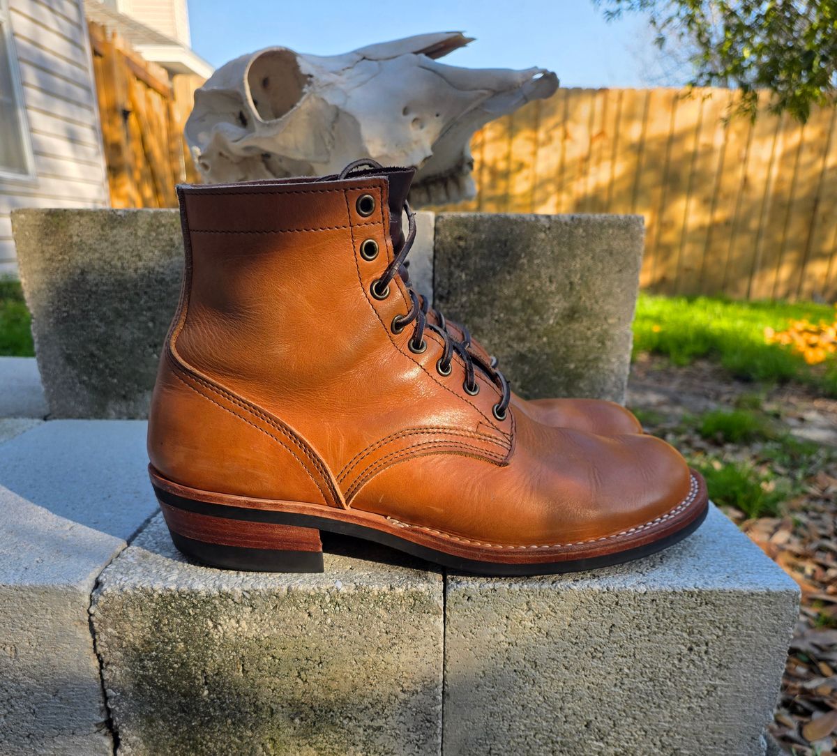 Photo by 83cane on February 3, 2026 of the Nicks DomePro in Horween Light Natural Dublin.