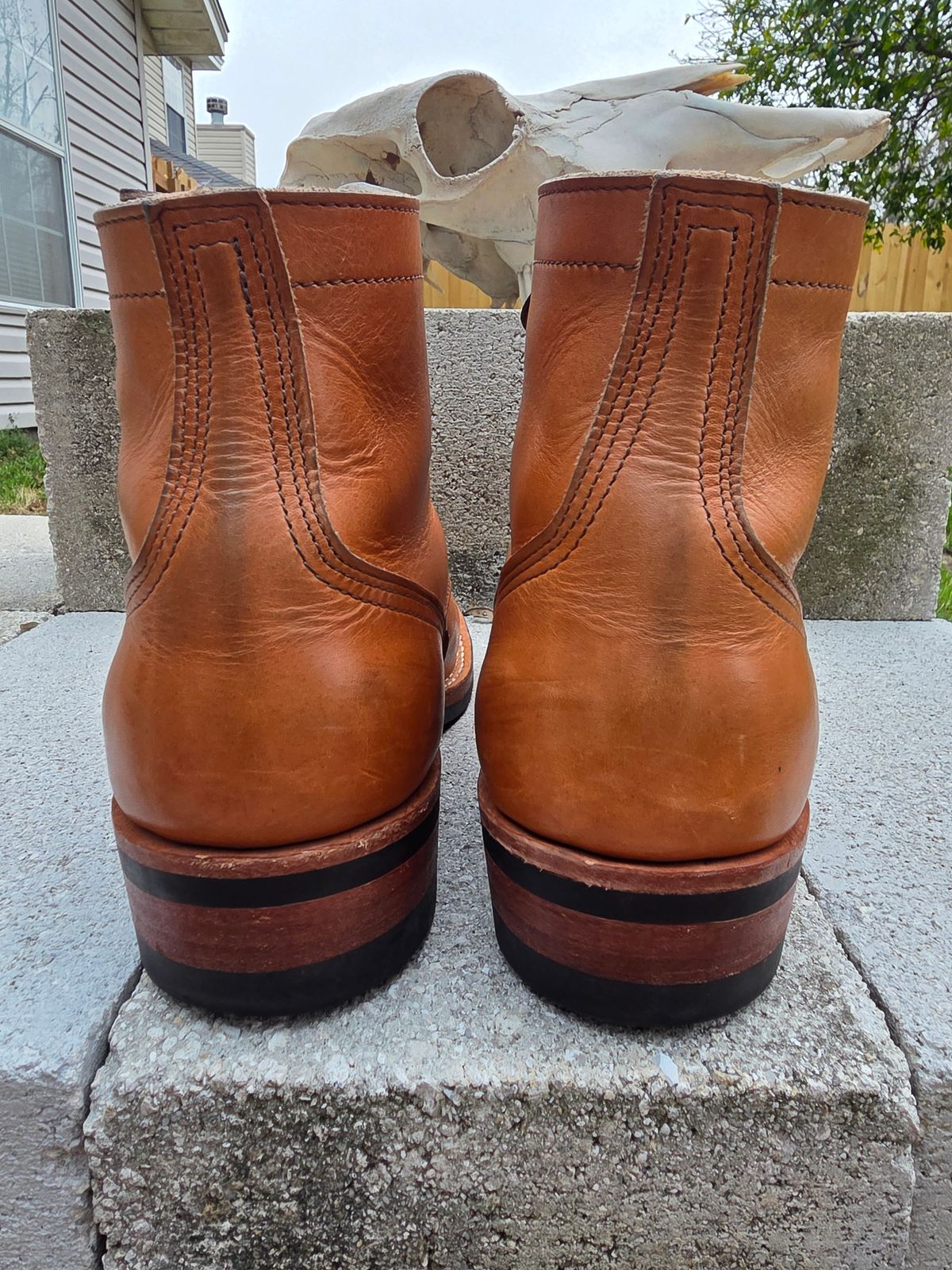 Photo by 83cane on March 3, 2026 of the Nicks DomePro in Horween Light Natural Dublin.