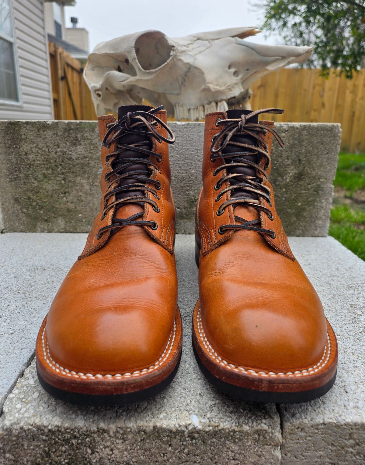 Photo by 83cane on March 3, 2026 of the Nicks DomePro in Horween Light Natural Dublin.