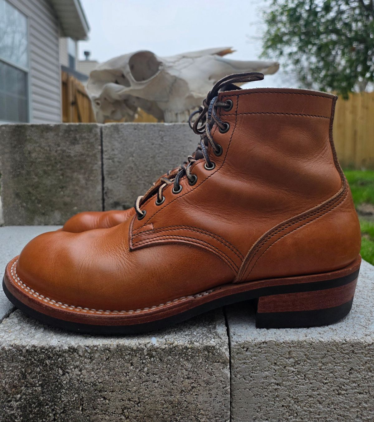 Photo by 83cane on March 3, 2026 of the Nicks DomePro in Horween Light Natural Dublin.