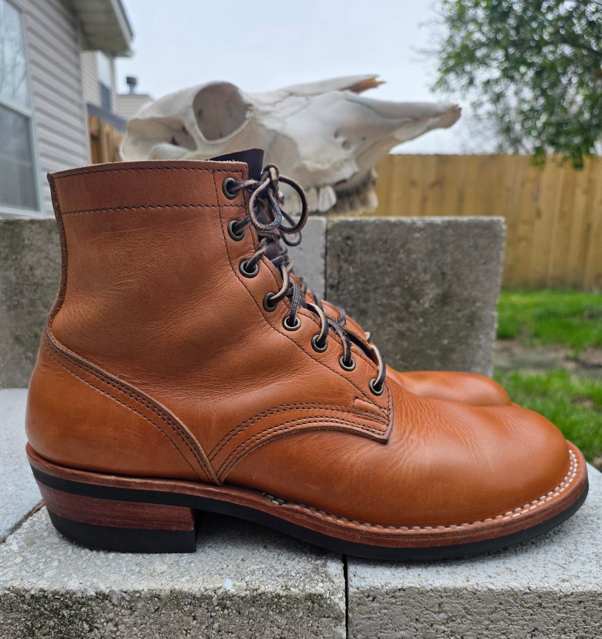 Photo by 83cane on March 3, 2026 of the Nicks DomePro in Horween Light Natural Dublin.