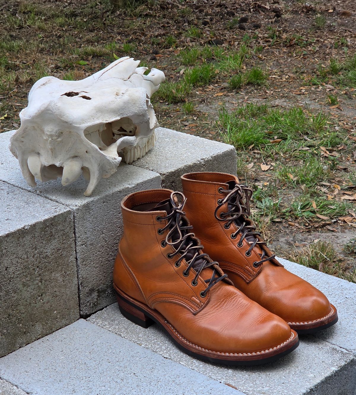 Photo by 83cane on April 5, 2026 of the Nicks DomePro in Horween Light Natural Dublin.