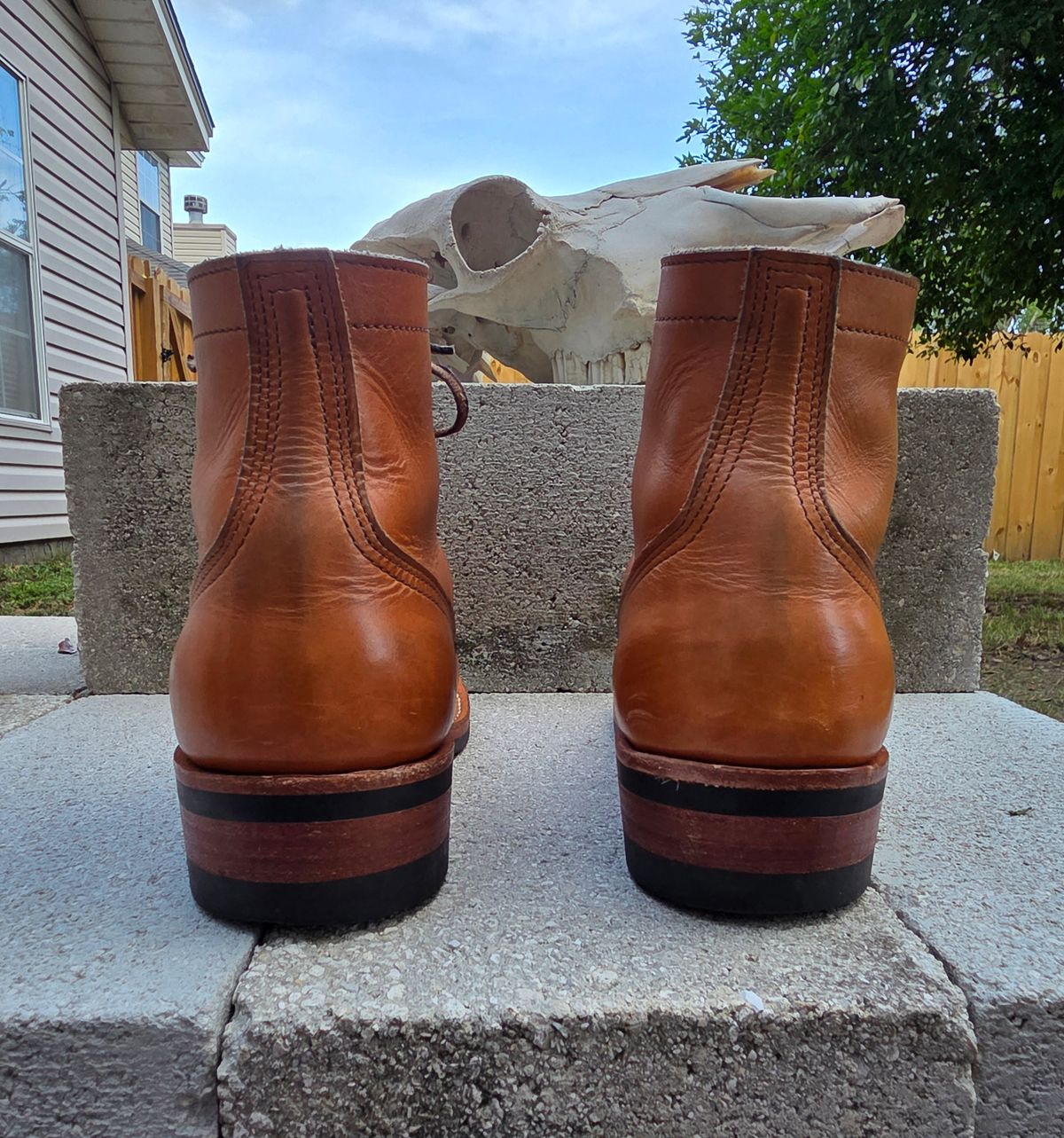 Photo by 83cane on April 5, 2026 of the Nicks DomePro in Horween Light Natural Dublin.