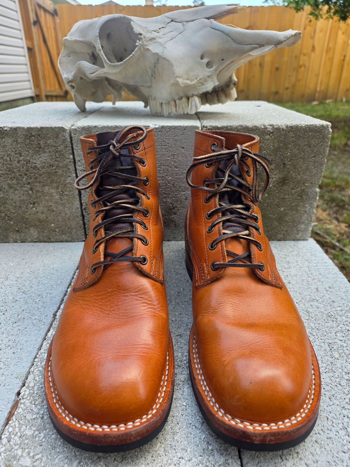 Photo by 83cane on April 5, 2026 of the Nicks DomePro in Horween Light Natural Dublin.