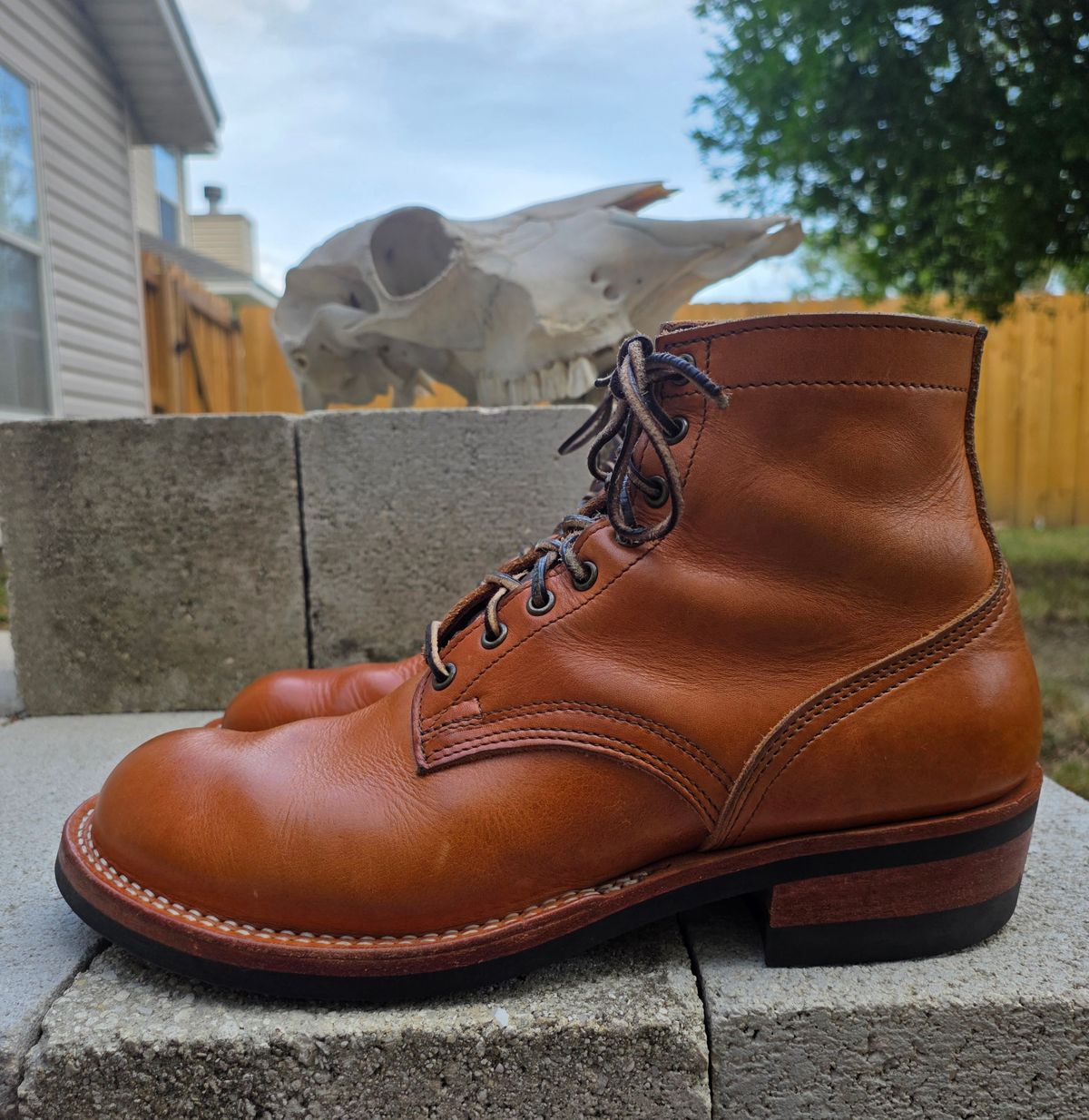 Photo by 83cane on April 5, 2026 of the Nicks DomePro in Horween Light Natural Dublin.