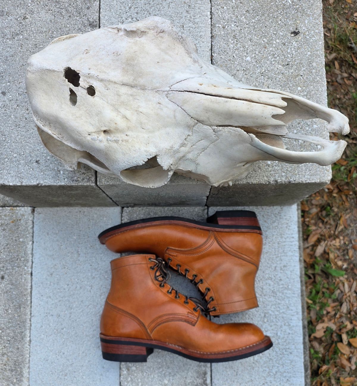 Photo by 83cane on April 5, 2026 of the Nicks DomePro in Horween Light Natural Dublin.