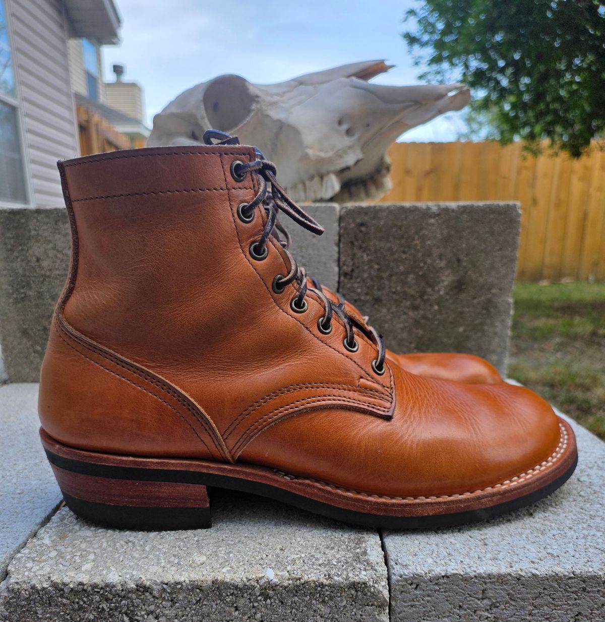 Photo by 83cane on April 5, 2026 of the Nicks DomePro in Horween Light Natural Dublin.
