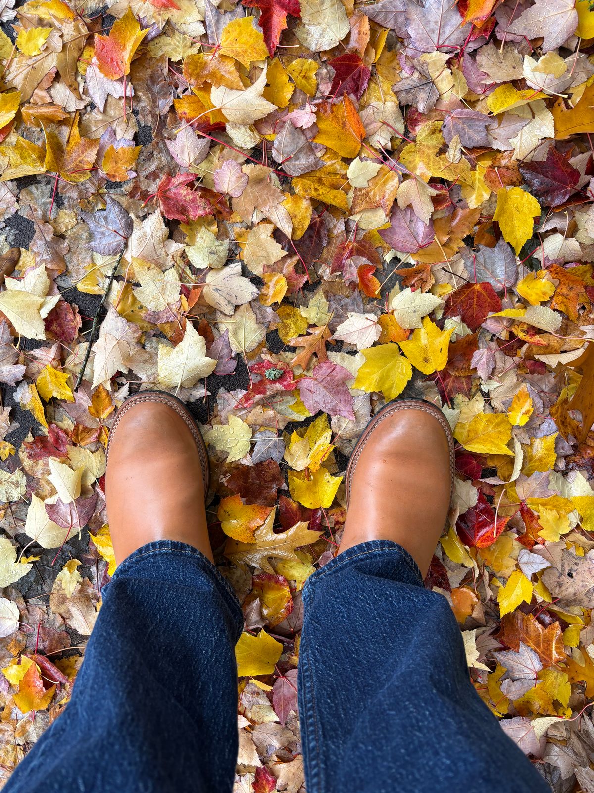 Photo by StitchedNeat on October 25, 2025 of the Bordon Isidro in Wickett & Craig Natural Veg Tan.