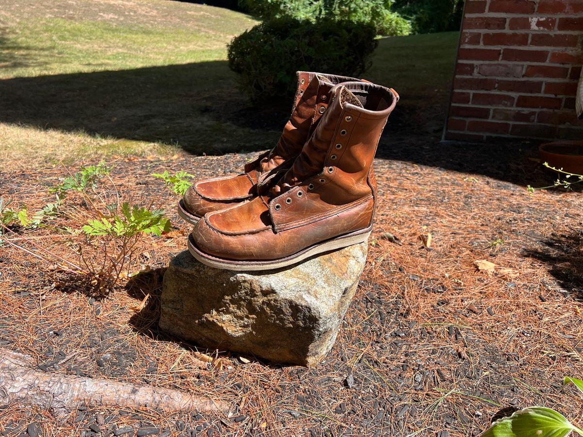 Photo by JLL343 on August 30, 2025 of the Red Wing 10877 in Red Wing / S.B. Foot Oro-Iginal.
